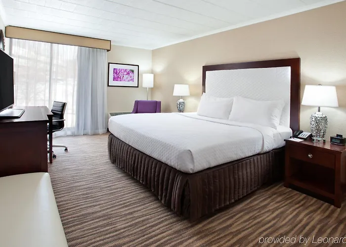 Pet Friendly hotel: Pittsburgh Plaza Hotel